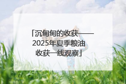 沉甸甸的收获——2025年夏季粮油收获一线观察