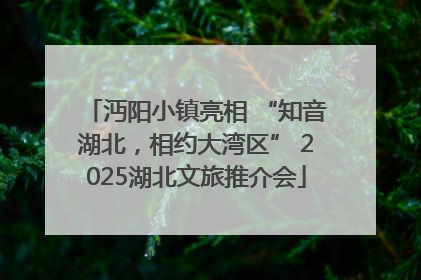 沔阳小镇亮相 “知音湖北，相约大湾区” 2025湖北文旅推介会