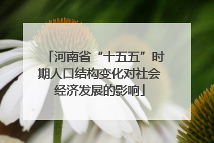 河南省“十五五”时期人口结构变化对社会经济发展的影响