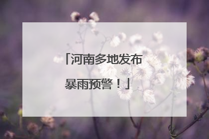 河南多地发布暴雨预警！
