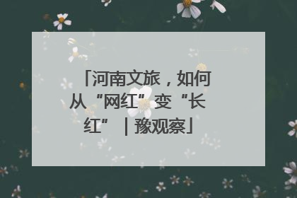 河南文旅，如何从“网红”变“长红”｜豫观察