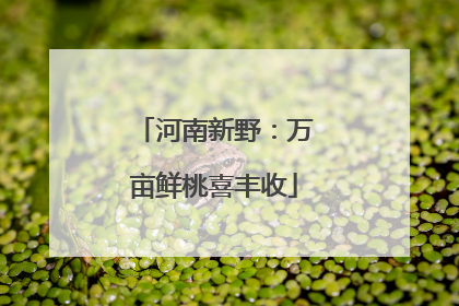 河南新野：万亩鲜桃喜丰收