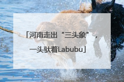 河南走出“三头象”，一头驮着Labubu