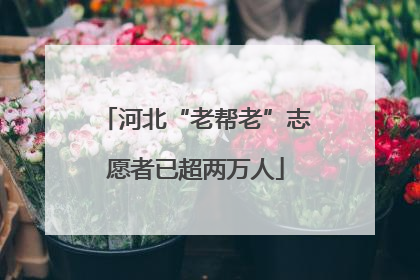 河北“老帮老”志愿者已超两万人