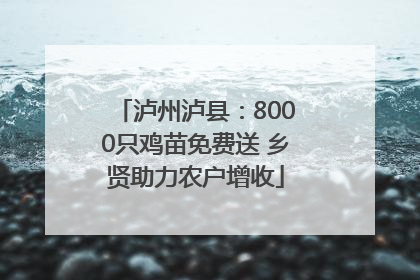 泸州泸县：8000只鸡苗免费送 乡贤助力农户增收