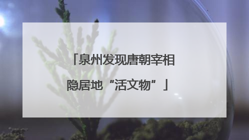 泉州发现唐朝宰相隐居地“活文物”