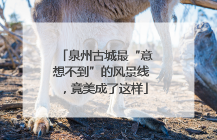 泉州古城最“意想不到”的风景线，竟美成了这样
