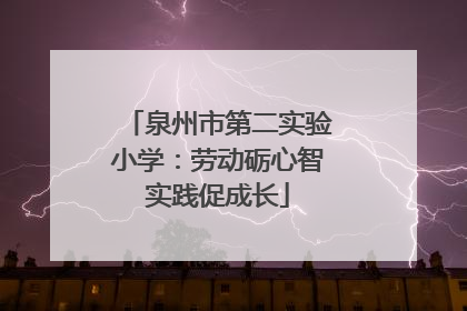泉州市第二实验小学：劳动砺心智实践促成长