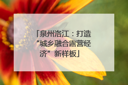 泉州洛江：打造“城乡融合露营经济”新样板