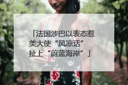 法国涉巴以表态惹美大使“风凉话” 扯上“蔚蓝海岸”
