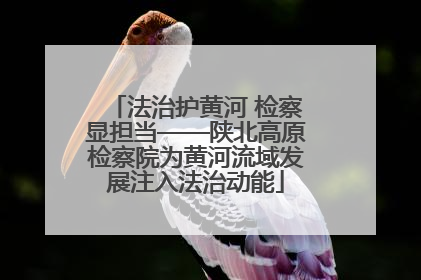 法治护黄河 检察显担当——陕北高原检察院为黄河流域发展注入法治动能