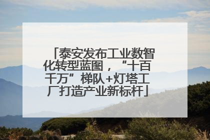 泰安发布工业数智化转型蓝图，“十百千万”梯队+灯塔工厂打造产业新标杆