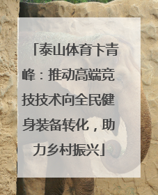 泰山体育卞青峰：推动高端竞技技术向全民健身装备转化，助力乡村振兴