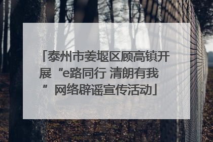 泰州市姜堰区顾高镇开展“e路同行 清朗有我”网络辟谣宣传活动