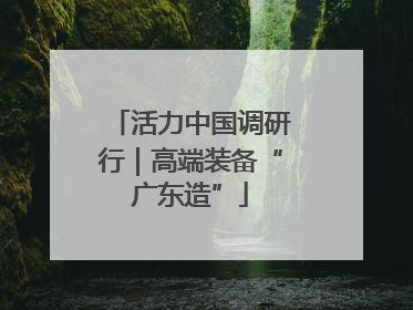 活力中国调研行｜高端装备“广东造”