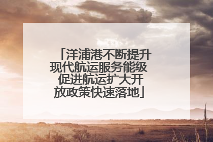 洋浦港不断提升现代航运服务能级 促进航运扩大开放政策快速落地