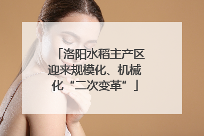 洛阳水稻主产区迎来规模化、机械化“二次变革”