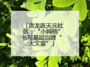 洛龙区天元社区：“小网格”书写基层治理“大文章”