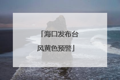 海口发布台风黄色预警