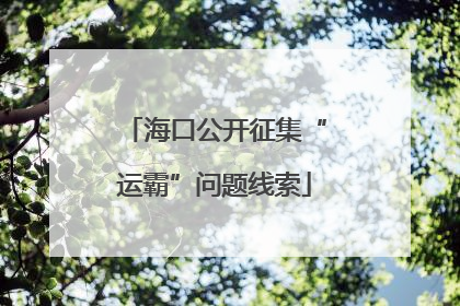 海口公开征集“运霸”问题线索
