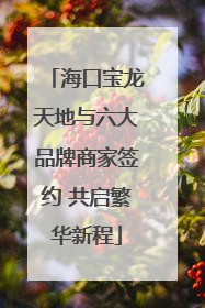 海口宝龙天地与六大品牌商家签约 共启繁华新程