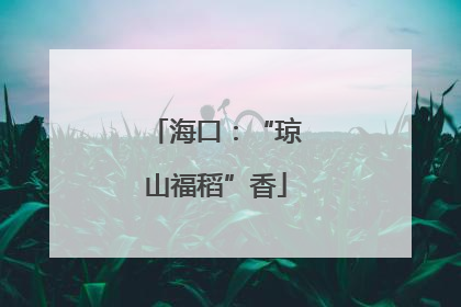 海口：“琼山福稻”香