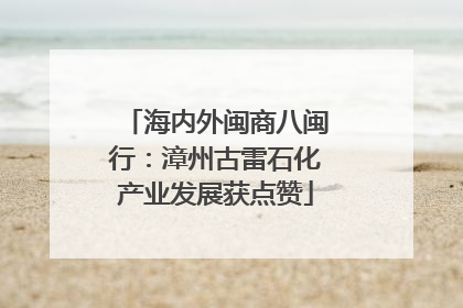 海内外闽商八闽行：漳州古雷石化产业发展获点赞