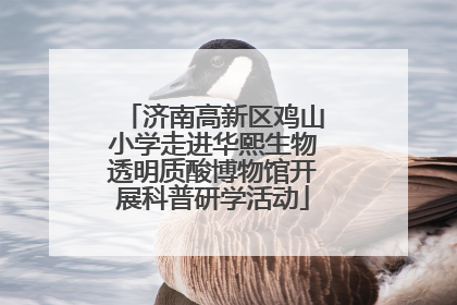 济南高新区鸡山小学走进华熙生物透明质酸博物馆开展科普研学活动