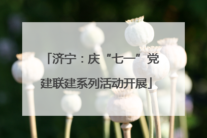 济宁：庆“七一”党建联建系列活动开展