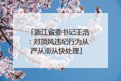 浙江省委书记王浩：对顶风违纪行为从严从重从快处理