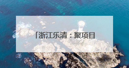 浙江乐清：聚项目吹“新”风 “海边小镇”成“热土”