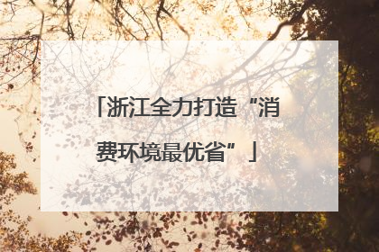 浙江全力打造“消费环境最优省”