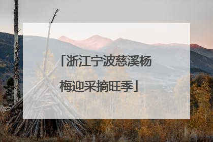浙江宁波慈溪杨梅迎采摘旺季
