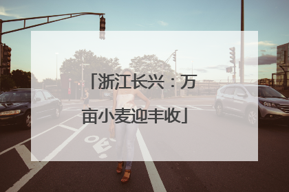 浙江长兴：万亩小麦迎丰收