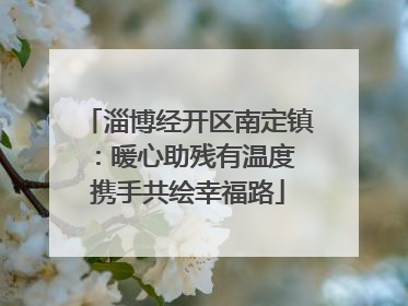 淄博经开区南定镇：暖心助残有温度 携手共绘幸福路