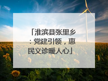 淮滨县张里乡：党建引领，惠民义诊暖人心