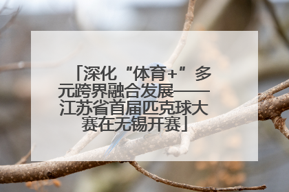 深化“体育+”多元跨界融合发展——江苏省首届匹克球大赛在无锡开赛