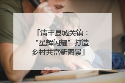 清丰县城关镇：“星辉闪耀”打造乡村共富新图景