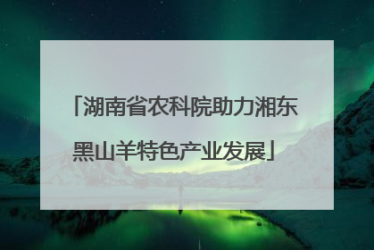 湖南省农科院助力湘东黑山羊特色产业发展