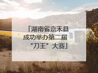 湖南省嘉禾县成功举办第二届“刀王”大赛