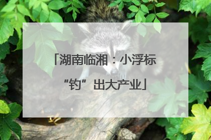 湖南临湘：小浮标“钓”出大产业