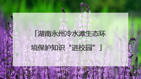 湖南永州冷水滩生态环境保护知识“进校园”