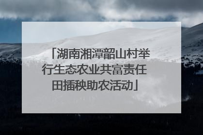 湖南湘潭韶山村举行生态农业共富责任田插秧助农活动