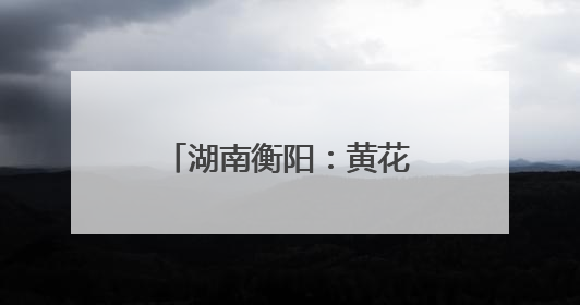 湖南衡阳：黄花菜采收加工忙