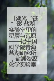 湖光“链”影 盐湖实验室里的星辰与荒原——记中国科学院青海盐湖研究所，盐湖资源化学实验室党总支书记、副主任刘忠