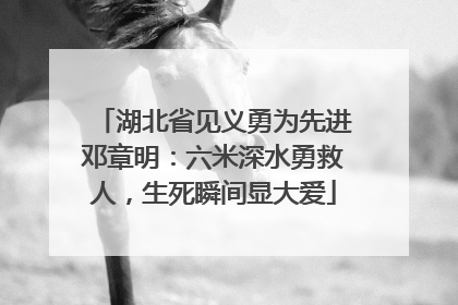 湖北省见义勇为先进邓章明：六米深水勇救人，生死瞬间显大爱