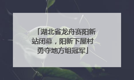 湖北省龙舟赛阳新站闭幕，阳新下屋村勇夺地方组冠军