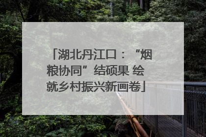 湖北丹江口：“烟粮协同”结硕果 绘就乡村振兴新画卷