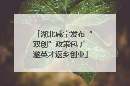 湖北咸宁发布“双创”政策包 广邀英才返乡创业