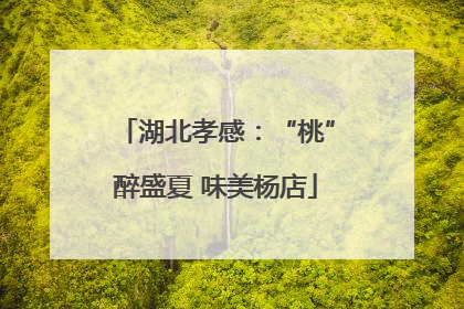湖北孝感：“桃”醉盛夏 味美杨店
